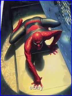 ALEX ROSS'SPECTACULAR SPIDERMAN' Signed With COA Framed Print NOW £199