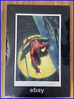 ALEX ROSS'SPECTACULAR SPIDERMAN' Signed With COA Mounted Print £195