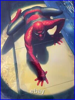 ALEX ROSS'SPECTACULAR SPIDERMAN' Signed With COA Mounted Print £195