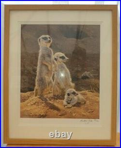 Anthony Gibbs'Meerkat Towers' Signed Numbered Limited Edition COA
