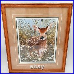 Baby Deer Framed Print Limited Edition Signed COA Spring Meadow White Tailed Faw