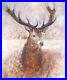 Gary-Benfield-noble-Large-Limited-Edition-Stag-Deer-Print-14-195-Coa-01-isfy