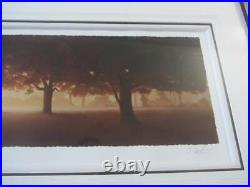 John Waterhouse Natures Canopy Framed Print Limited Edition No. 134/395 COA