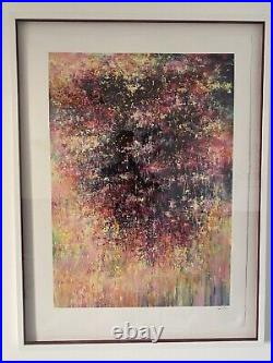 Mr Jago'Wraith' Signed Limited Edition 60 Framed 2016 COA