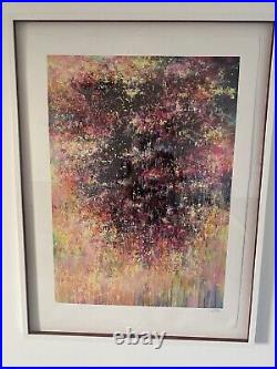 Mr Jago'Wraith' Signed Limited Edition 60 Framed 2016 COA