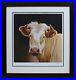 Paul-James-goldie-Cow-Study-Large-Limited-Edition-Print-26-100-Signed-Coa-01-xsxd