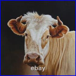 Paul James'goldie' Cow Study, Large Limited Edition Print 26/100, Signed & Coa