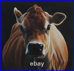 Paul James'posh' Cow Study, Large Limited Edition Print 76/295, Signed & Coa