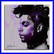 Prince-The-Look-Print-Limited-Edition-17-50-on-canvas-Signed-COA-01-ot