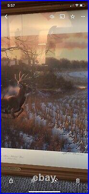 Red Alert Whitetail Deer Michael Sieve Framed Signed COA Limited Edition 36x27