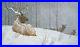 Robert-BATEMAN-Evening-Snowfall-American-Elk-Limited-art-Giclee-Canvas-COA-01-ti