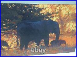 Rolf Harris BACKLIT GOLD DELUXE Signed Framed Canvas Limited Edition Print COA