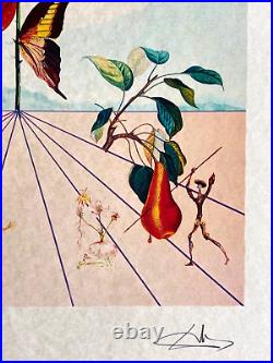 Salvador-Dali Lithograph COA original signed numbered limited Dalí