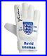 Signed-David-Seaman-Englnd-Goalkeeper-Glove-Football-Limited-Edition-AFTAL-COA-01-fkkg