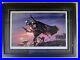 Star-Wars-Limited-Edition-80-650-Artist-Signed-With-COA-01-wr