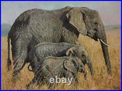 TONY FORREST Limited Edition Canvas on Board Print Elephants Family Outing + COA