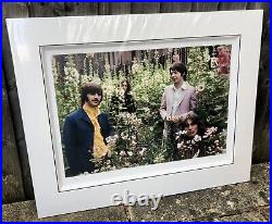 Tom Murray,'flower Power Ii', Limited Edition Beatles Print 73/195 Signed & Coa