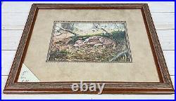 WhiteTail Deer Fawn Framed Art Print. Signed Limited Edition Print. COA included