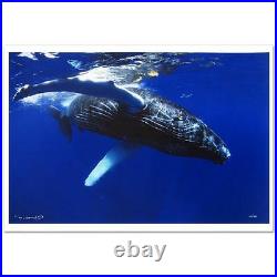 Wyland Calf Limited Edition Photograph Signed/Numbered Sea Whale COA