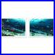 Wyland-Radiant-Reef-Signed-Canvas-Limited-Edition-Art-COA-01-idv