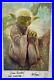 Yoda-limited-edition-art-signed-by-Dave-Dorman-Dave-Barclay-BECKETT-COA-01-sypd